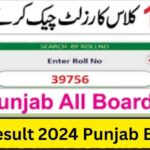 12th Class All Punjab Board Result 2024 allresults.online 2nd year result 2024 by allresults.online