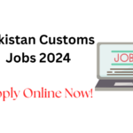 Pakistan Customs Jobs 2024 – Apply Online Now!